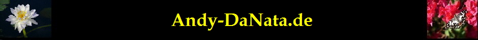 Andy-DaNata.de