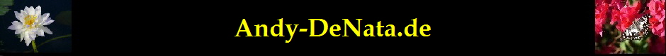 Andy-DeNata.de