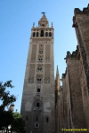 Giralda (1)