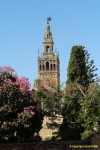 Giralda (2)