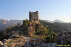 Zahara