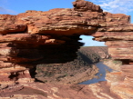 Natures Window
