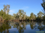 Yellow Water
