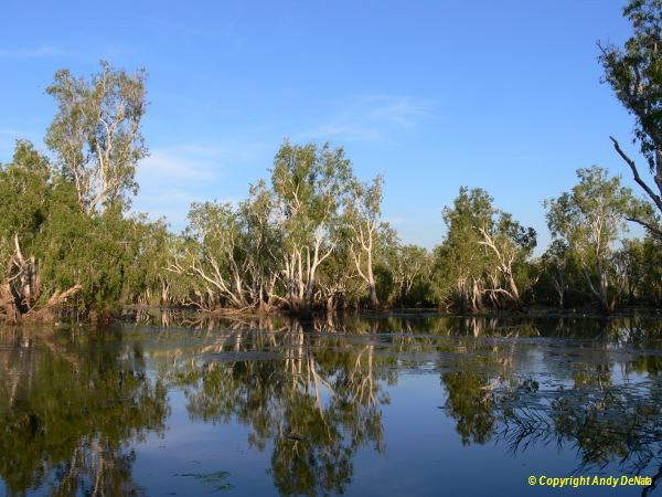 Yellow Water