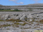 Burren National Park