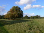 Landschaft in Shropshire